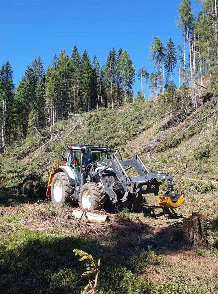 Traktor beim holzziehen von Holzschlägerung David Auer