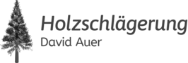 Logo von Holzschlägerung David Auer