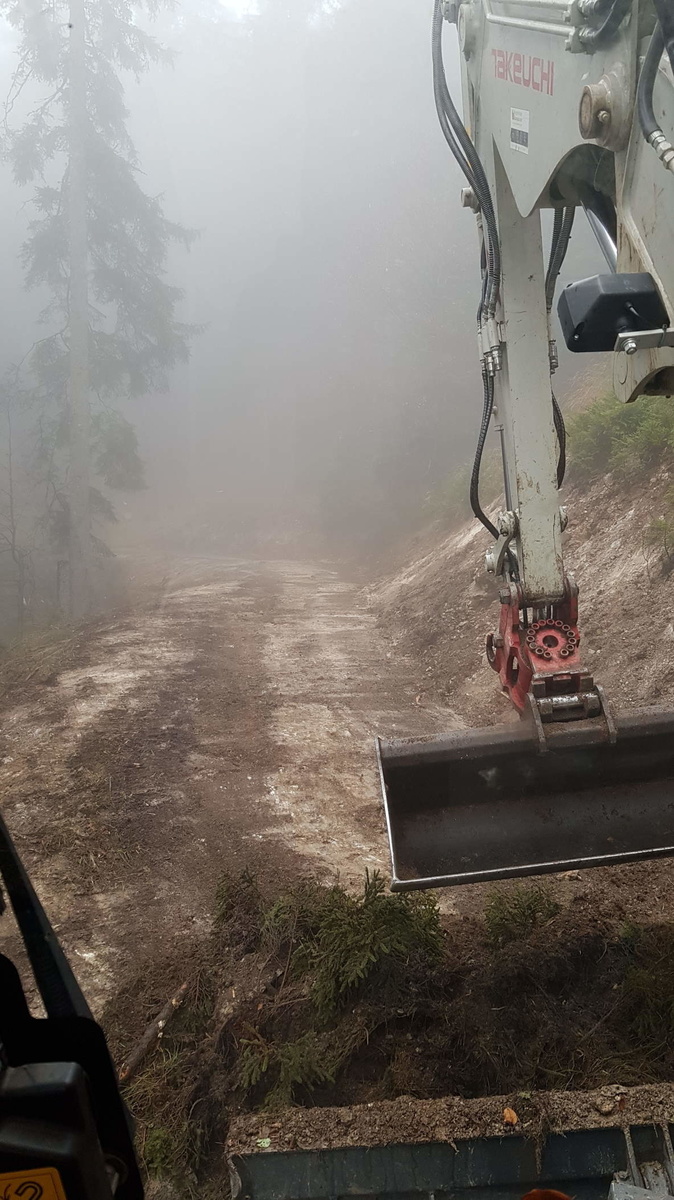 Bagger von Holzschlägerung David Auer