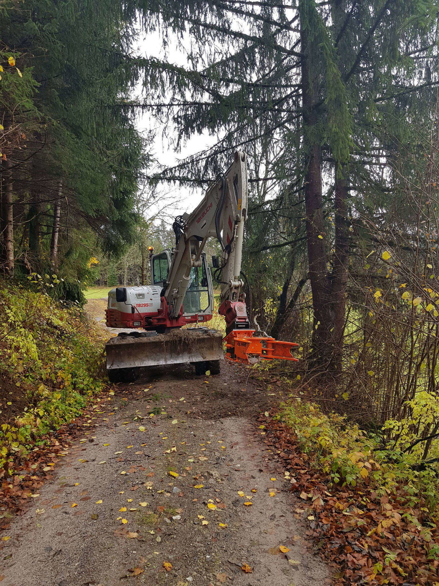 leicht durchquerbare Waldwege dank Holzschlägerung David Auer