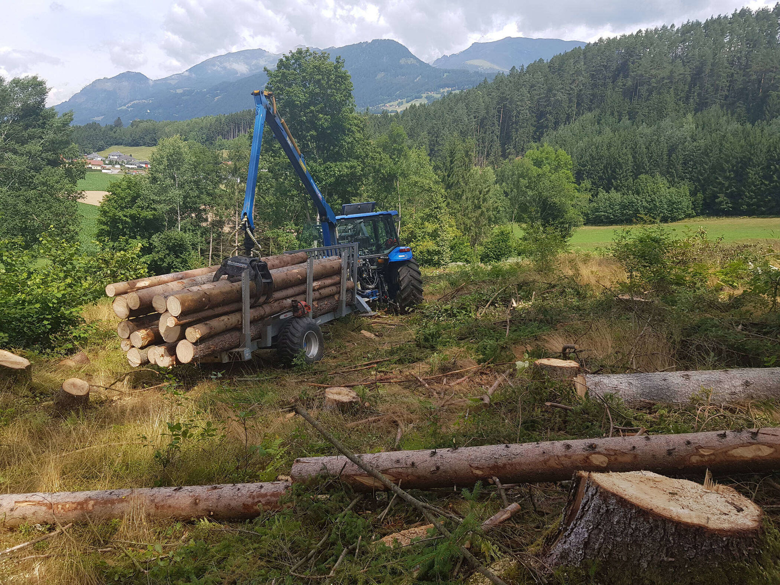 Traktor mit geschlagenem Holz von David Auer