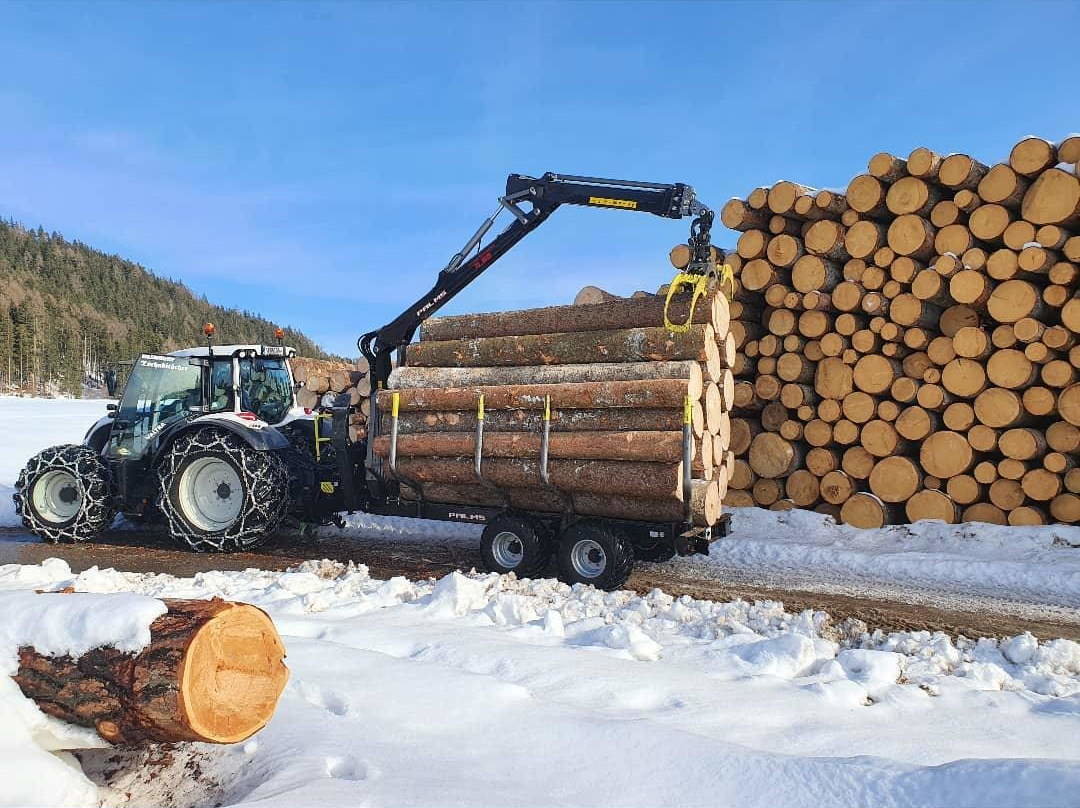Winterarbeit von Holzschlägerung David Auer